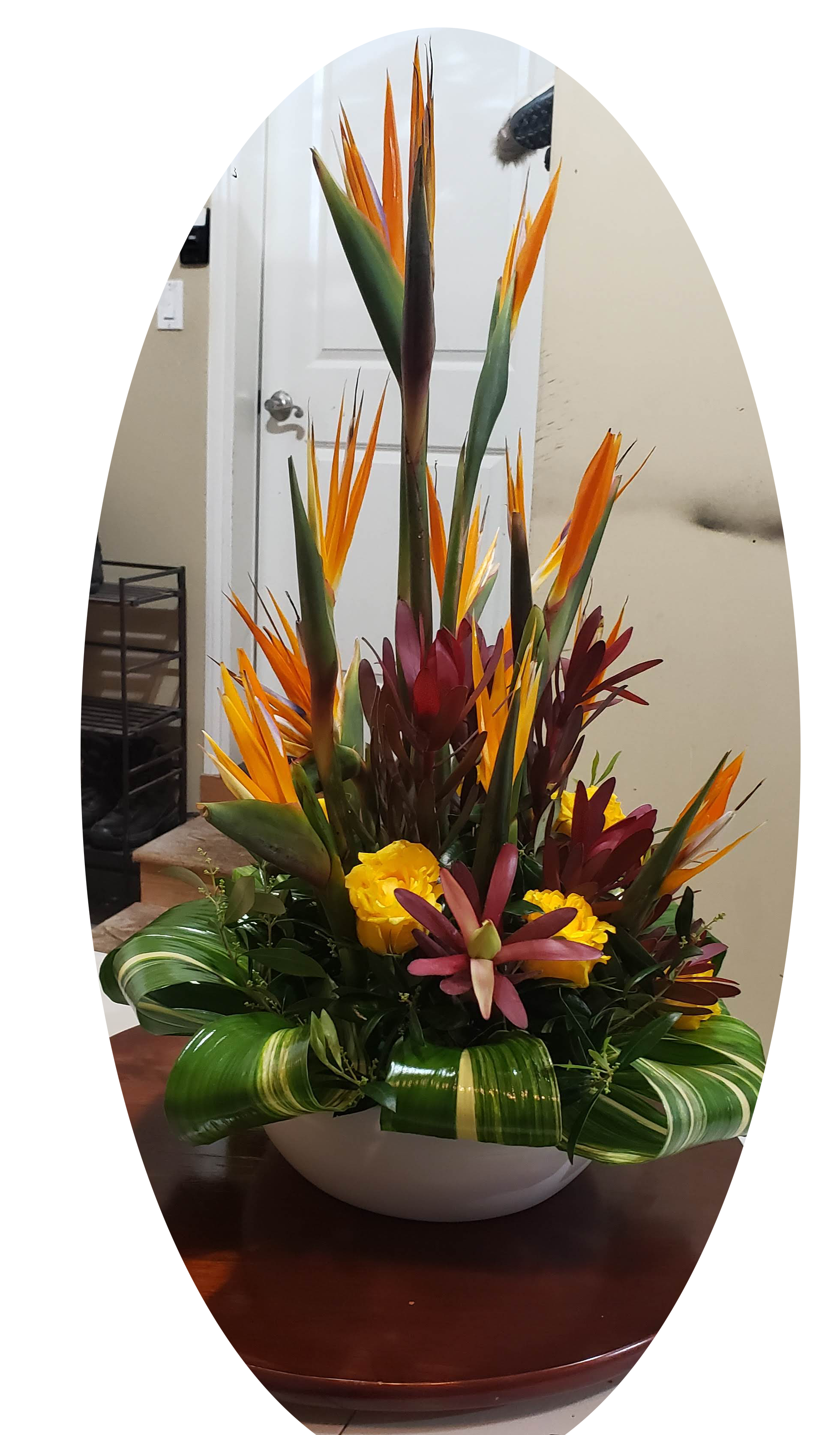 Leucadendron, Bird of Paradise, Yellow Roses, & Aspidistra
